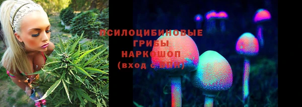 синтетический гашиш Нефтекумск