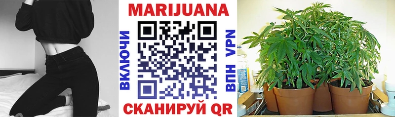Каннабис семена  сколько стоит  Радужный 